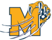 | Mattawan Football Player Pack